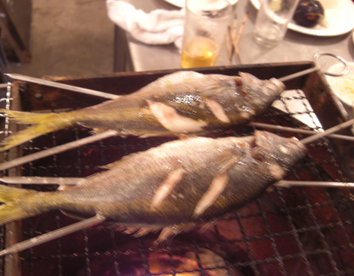 南伊豆の弓ヶ浜の地魚タカベをコテージバーベキュー 南伊豆 弓ヶ浜を１０倍楽しむ方法
